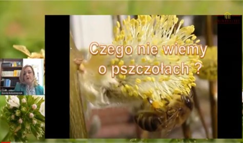 Pszczoy