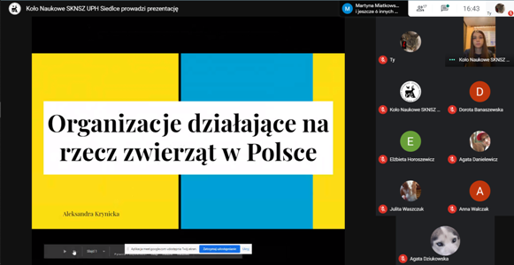 Okno aplikacji GoogleMeet a w nim slajd o Organizacjach działających na rzecz zwierząt w Polsce