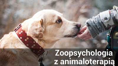 Zoopsychologia z animatoterapią